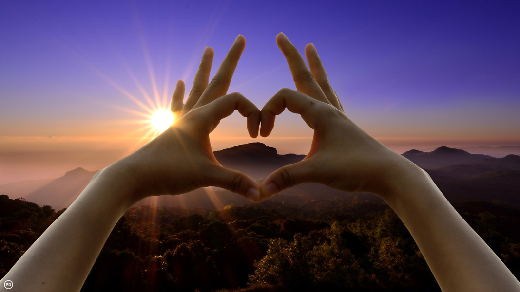 LoveIs.org - Love is Living The Joy